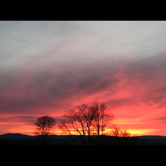 Meet your Posher, Mckayla - Picture 1 of 1